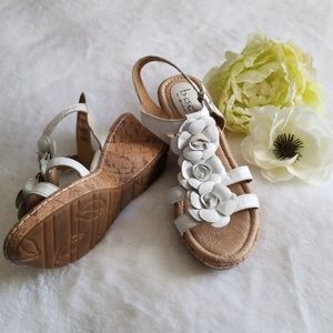 Boc Wedges